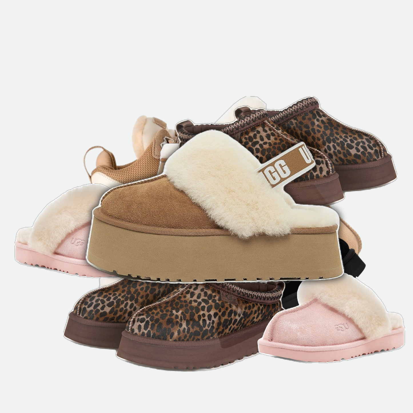 UGGs Supplier